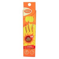 Pencil 12 Pack - HB